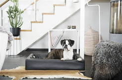 Bia Bed Hondenmand Original Zwart Bia-2 60X50X12,5 Cm