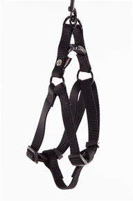 Martin Instap Tuig Nylon Zwart 25-35X1 Cm