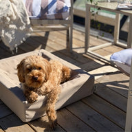 Bia Bed Outdoor Hoes Hondenmand Taupe Bia-2 60X50X12,5 Cm