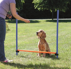 Trixie Dog Activity Agility Horde Blauw / Oranje 123X115X3 Cm