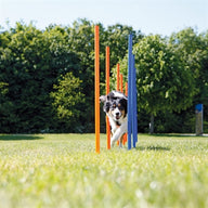 Trixie Dog Activity Agility Slalom Stokken Blauw / Oranje 115X3 Cm 12 St