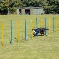 Trixie Dog Activity Agility Slalom Stokken Blauw / Oranje 115X3 Cm 12 St