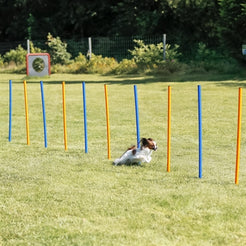 Trixie Dog Activity Agility Slalom Stokken Blauw / Oranje 115X3 Cm 12 St