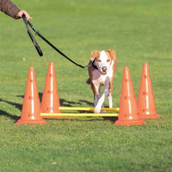Trixie Dog Activity Hordenset 3 St