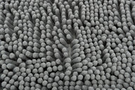Trixie Schoonloopmat Waterdicht Grijs 60X50 Cm