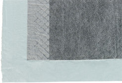 Trixie Puppypads Nappy Met Koolstof 60X40 Cm 7 St