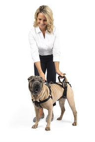 Solvit Petsafe Carelift Voor En Achter Medium