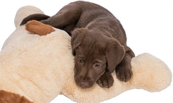 Trixie Knuffel Hondbenny Pluche Beige / Bruin 75 Cm