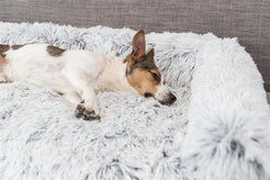 Trixie Sofa Bed Harvey Meubelbeschermer Hoekig Wit / Zwart 70X90X7 Cm