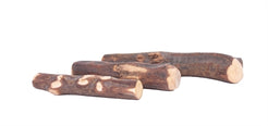 Dog Woodzzz Olijfhout Small