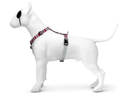 Morso Hondentuig H-Tuig Gerecycled Skyline Rood / Roze 40-55X1,5 Cm
