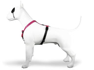 Morso Hondentuig H-Tuig Gerecycled Bubble Leo Roze 40-55X1,5 Cm