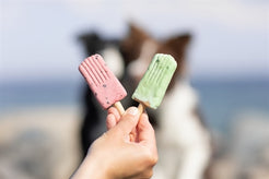 Trixie Ice Pop Groen 55 Gr