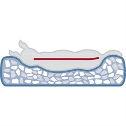 Trixie Hondenmand Vital Jonna Ribfluweel Saliegroen 80X60 Cm