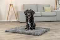 Trixie Ligmat Lonni Ribfluweel Grijs 110X75 Cm