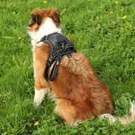Zolux Easyride Hondentuig Zwart S 33-49X41-54 Cm