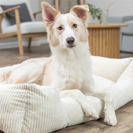 Trixie Vital Hondenmand Jonna Hoekig Ribfluweel Creme 120X80 Cm
