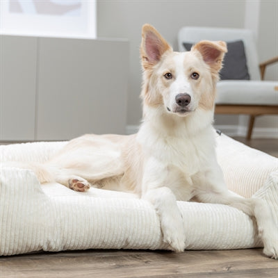 Trixie Vital Hondenmand Jonna Hoekig Ribfluweel Creme 120X80 Cm