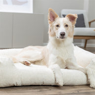 Trixie Vital Hondenmand Jonna Hoekig Ribfluweel Creme 120X80 Cm
