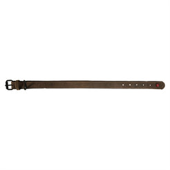 Zolux Expert Halsband Hond Premium Leer / Neopreen Bruin 30X1,4 Cm